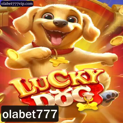 Explorando o Mundo de LuckyDog: Regras e Introdução ao Jogo com Olabet777